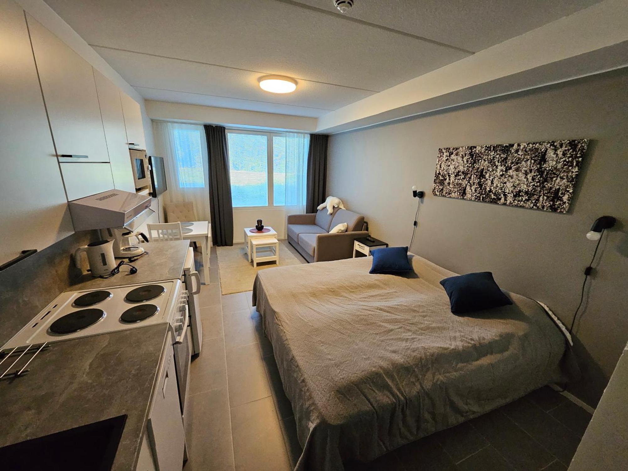 Levillenet Studio Apartment At Levi City Centre Екстериор снимка